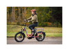 RadRunner Plus Electric Cargo Utility Bike