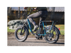 RadRunner Plus Electric Cargo Utility Bike