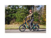 RadRunner Plus Electric Cargo Utility Bike