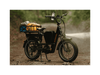 RadRunner Max Electric Cargo Utility Bike