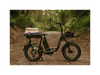 RadRunner Plus Electric Cargo Utility Bike
