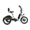 RadTrike™ Electric Tricycle