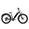 RadRover™ 6 Plus Electric Fat Tire Bike