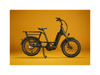 RadRunner Max Electric Cargo Utility Bike
