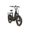 RadRunner Max Electric Cargo Utility Bike