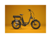 RadRunner Plus Electric Cargo Utility Bike