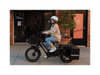 RadWagon 5 Electric Cargo Bike